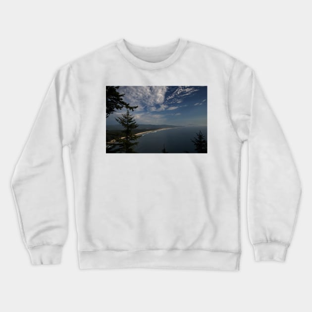 850_6382 Crewneck Sweatshirt by wgcosby